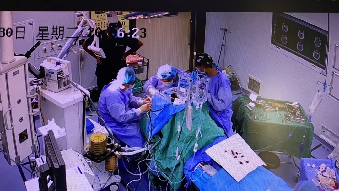 1638414926119891.jpg 1638414926119891.jpg