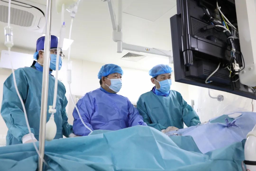 1645665796178992.jpg 1645665796178992.jpg