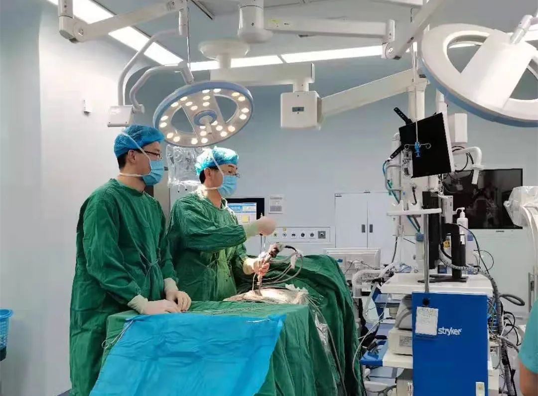 1645926350214633.jpg 1645926350214633.jpg