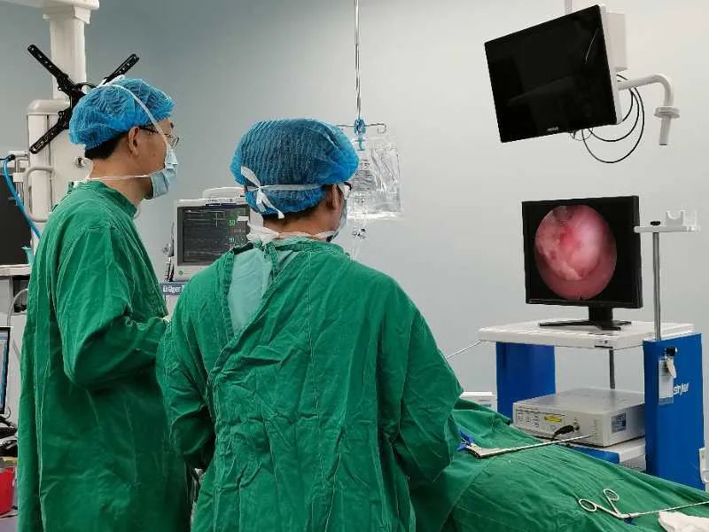 1645926358388667.jpg 640 (4).jpg