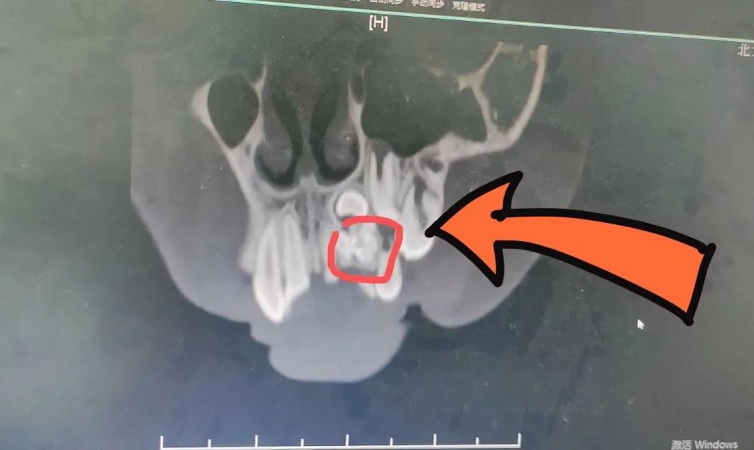 1654477183116528.jpg 1654477183116528.jpg