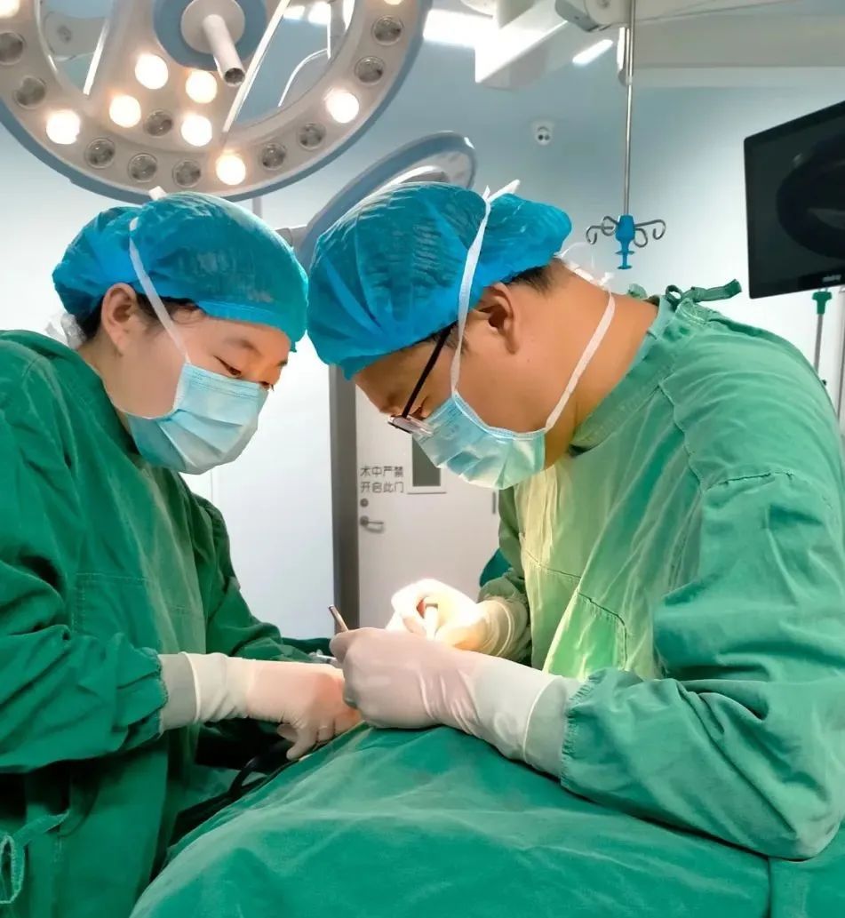 1654477221139330.jpg 1654477221139330.jpg