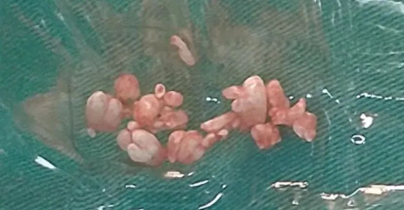 1654477242164985.jpg 1654477242164985.jpg