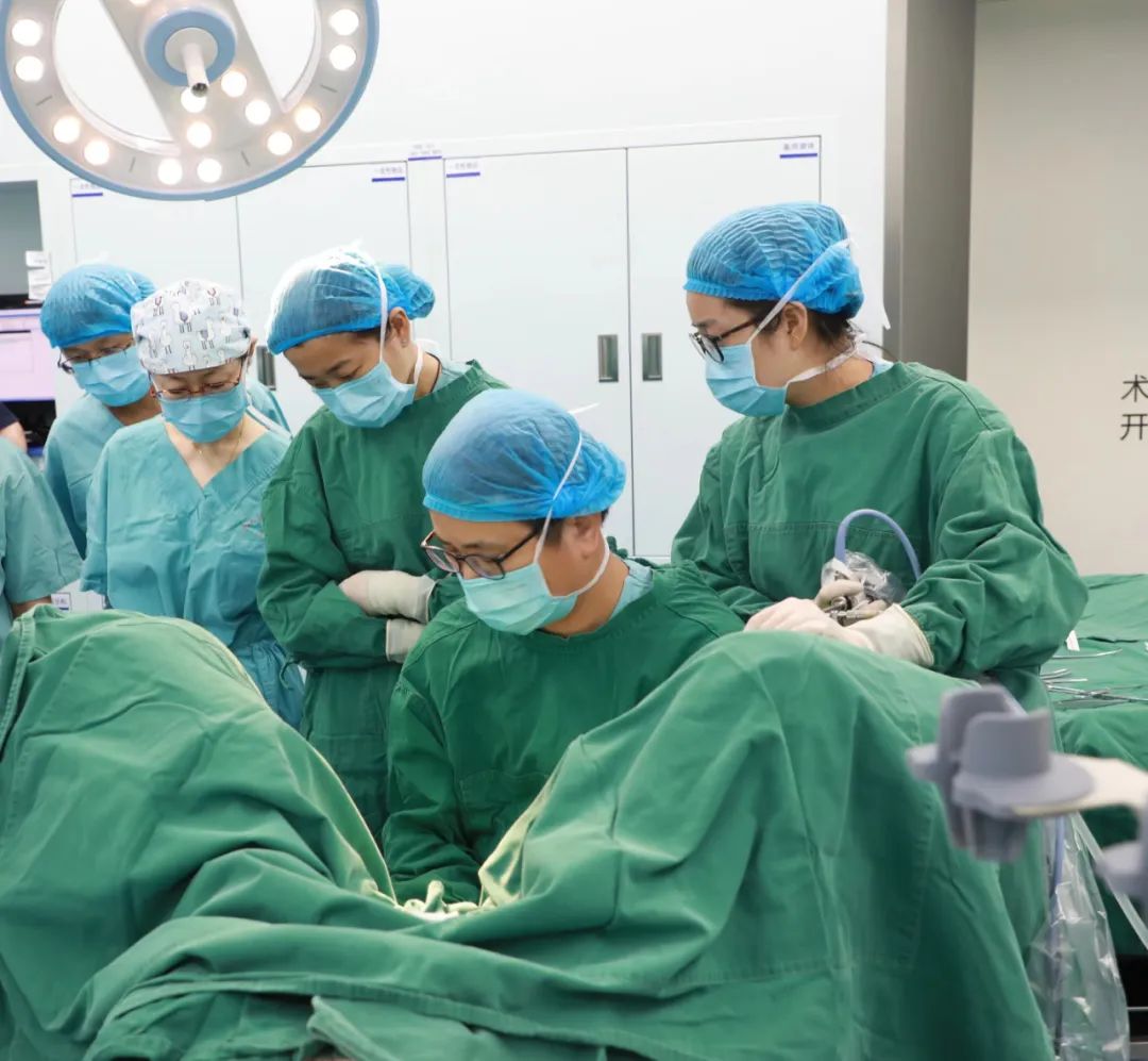 1663028510353744.jpg 1663028510353744.jpg