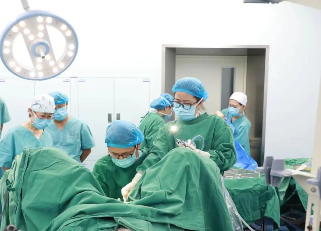 1663028526836291.jpg 1663028526836291.jpg