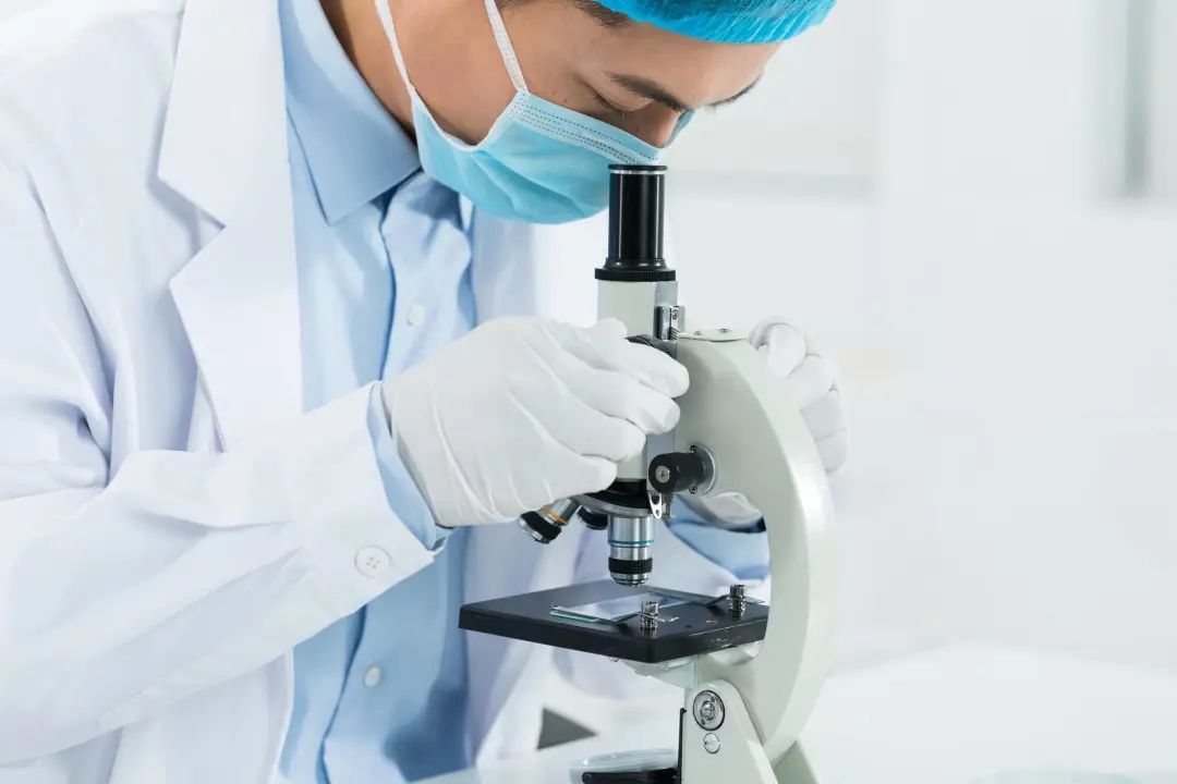 1668066664169658.jpg 1668066664169658.jpg