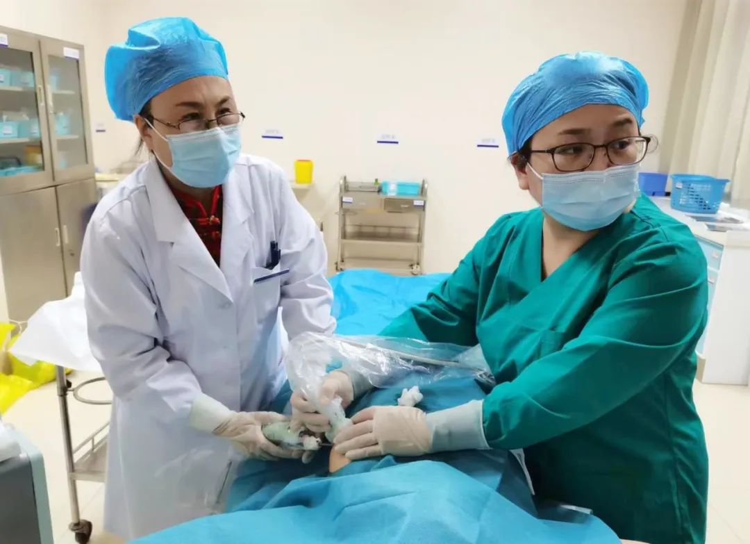 1669278034198256.jpg 1669278034198256.jpg