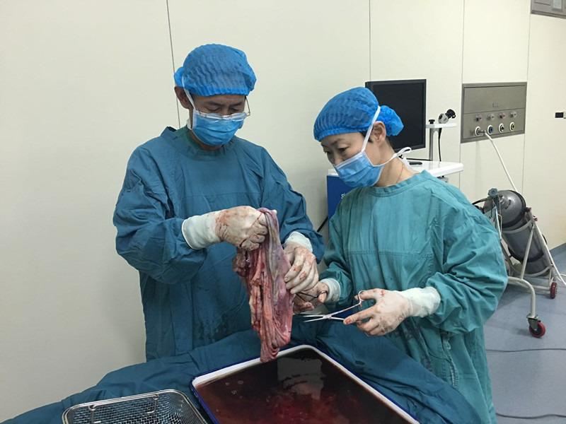 1498092843354967.jpg 1_副本.jpg