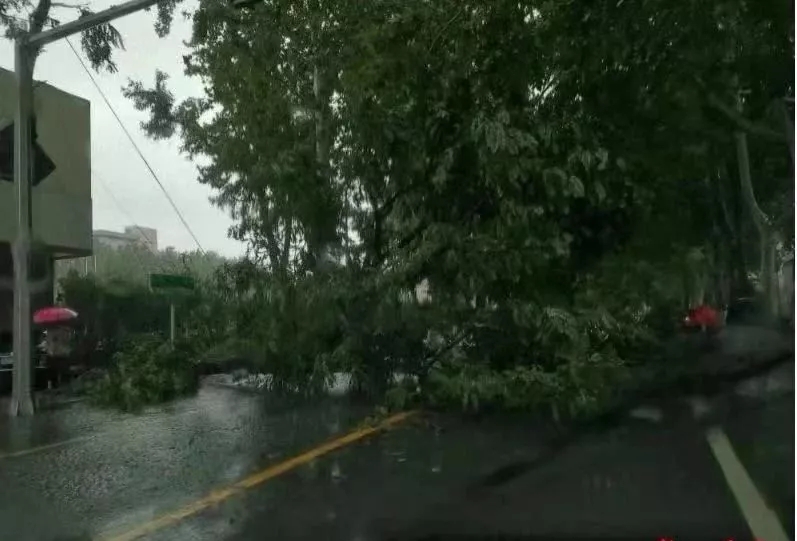 1565655383316330.jpg 1565655383316330.jpg