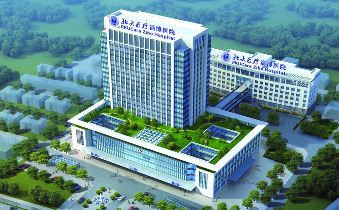 1569198039229535.jpg 1.webp.jpg