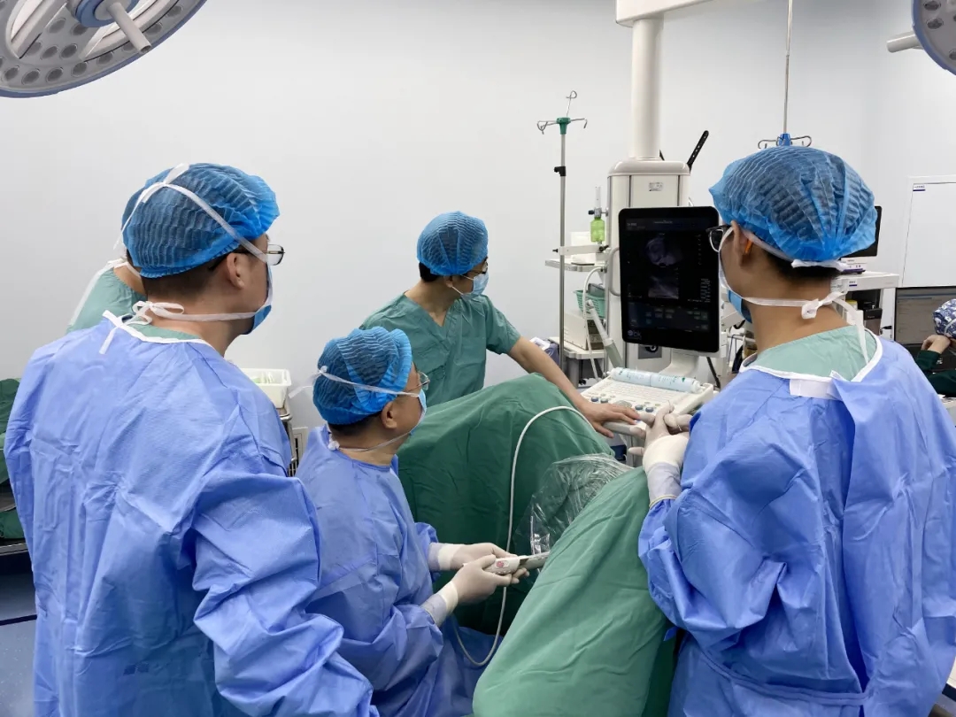 1616207593569107.jpg 1616207593569107.jpg