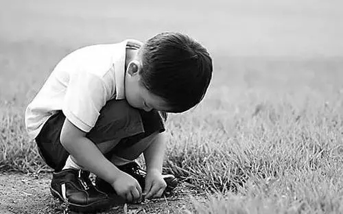 1617327669677152.jpg 640.webp (2).jpg