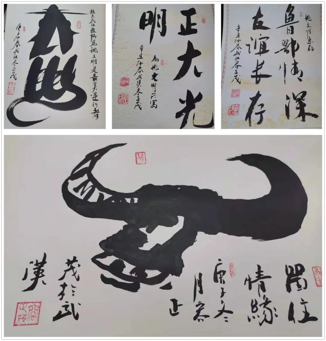 1618969322273370.jpg 1618969322273370.jpg