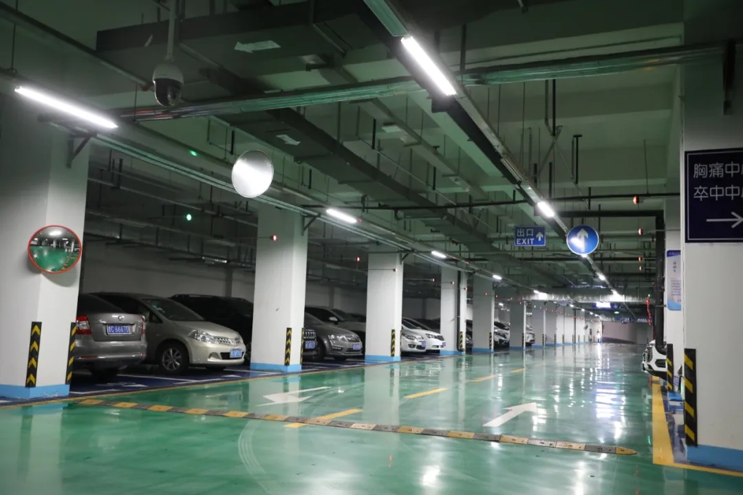 1625619925478486.jpg 1625619925478486.jpg