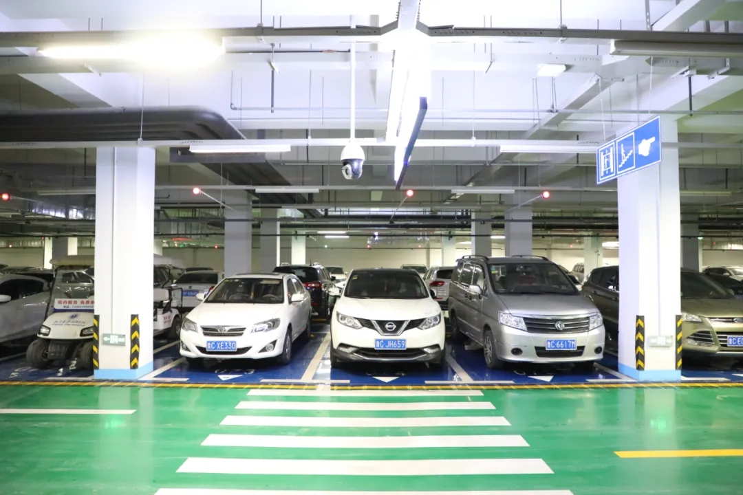 1625619935270009.jpg 1625619935270009.jpg