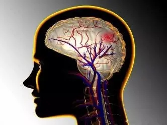 1627347519500481.jpg 640.webp (4).jpg