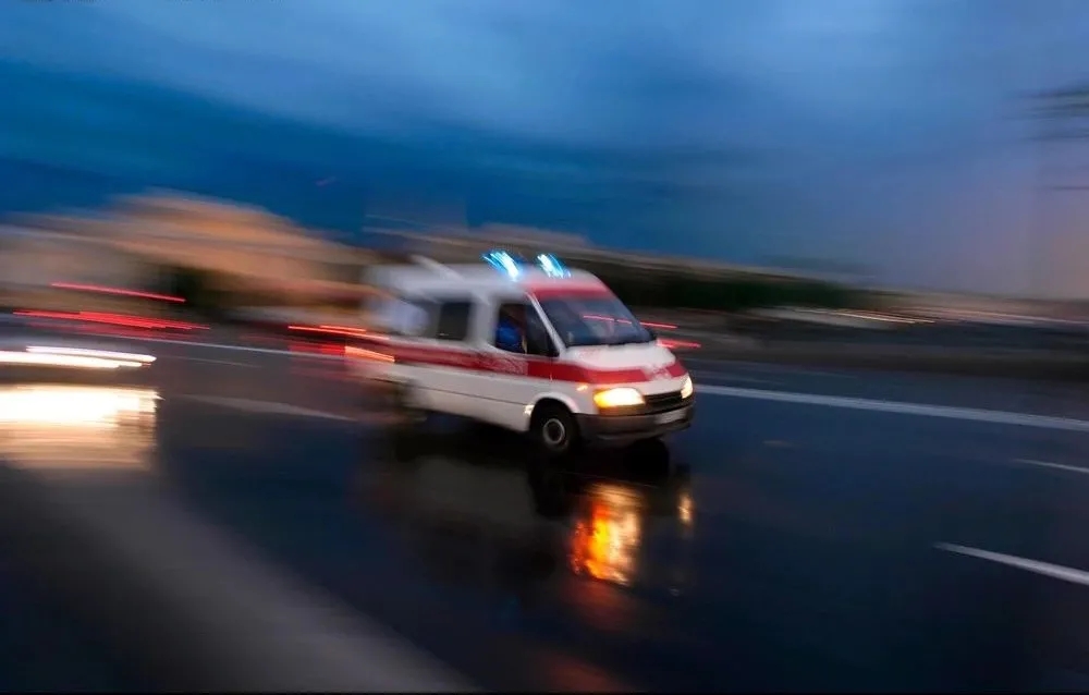 1631083856214690.jpg 1631083856214690.jpg