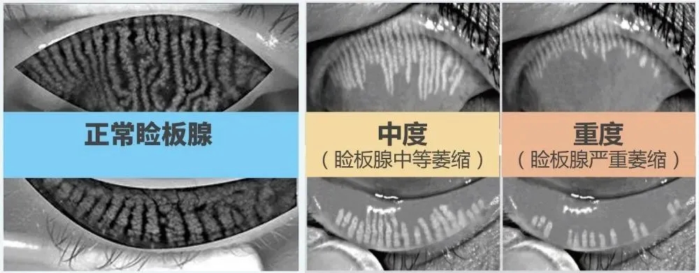 1634633164240927.jpg 1634633164240927.jpg