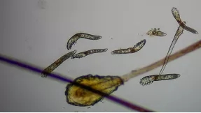 1634633227206989.jpg 1634633227206989.jpg